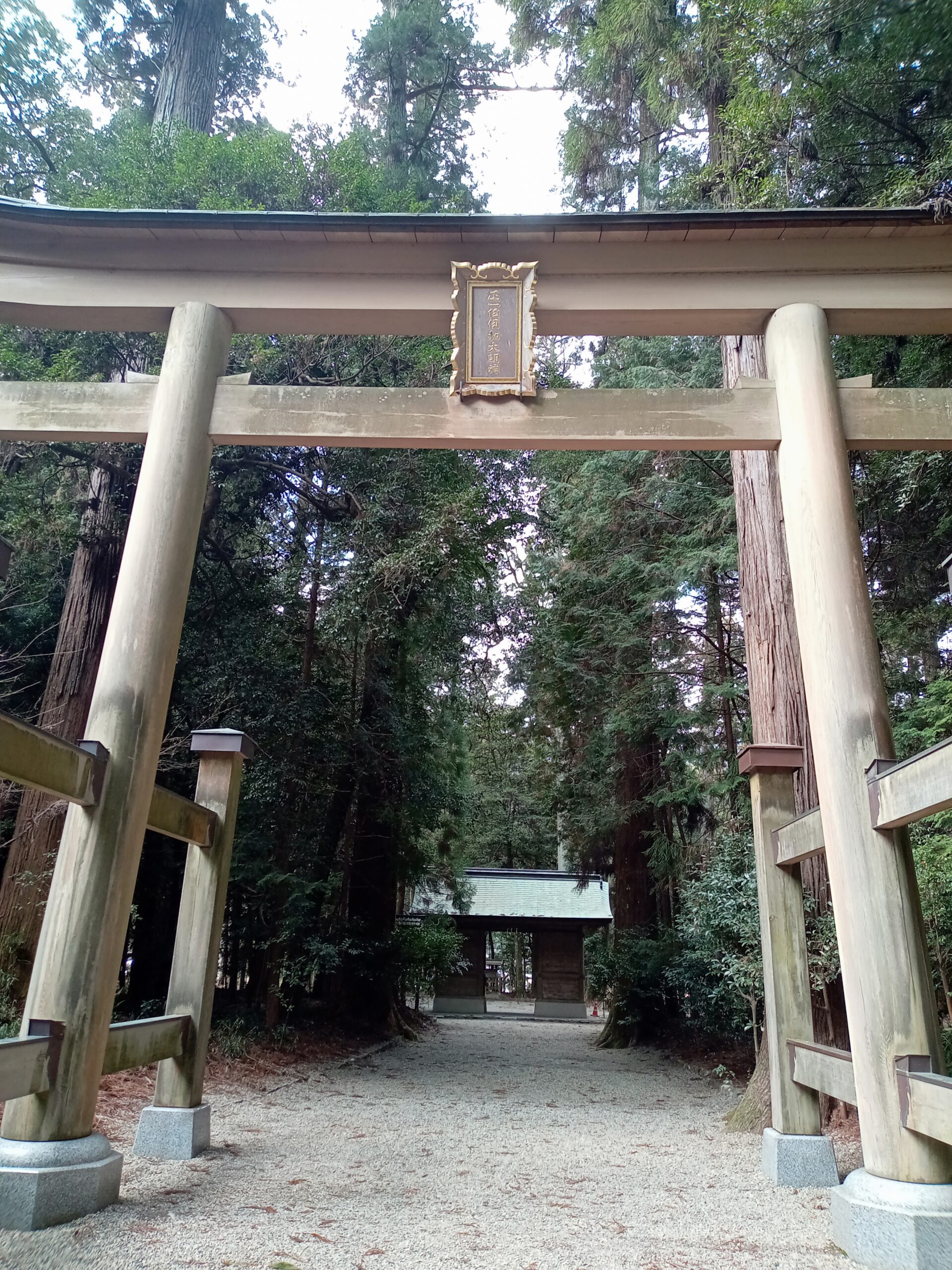 鳥居がすごく立派です。