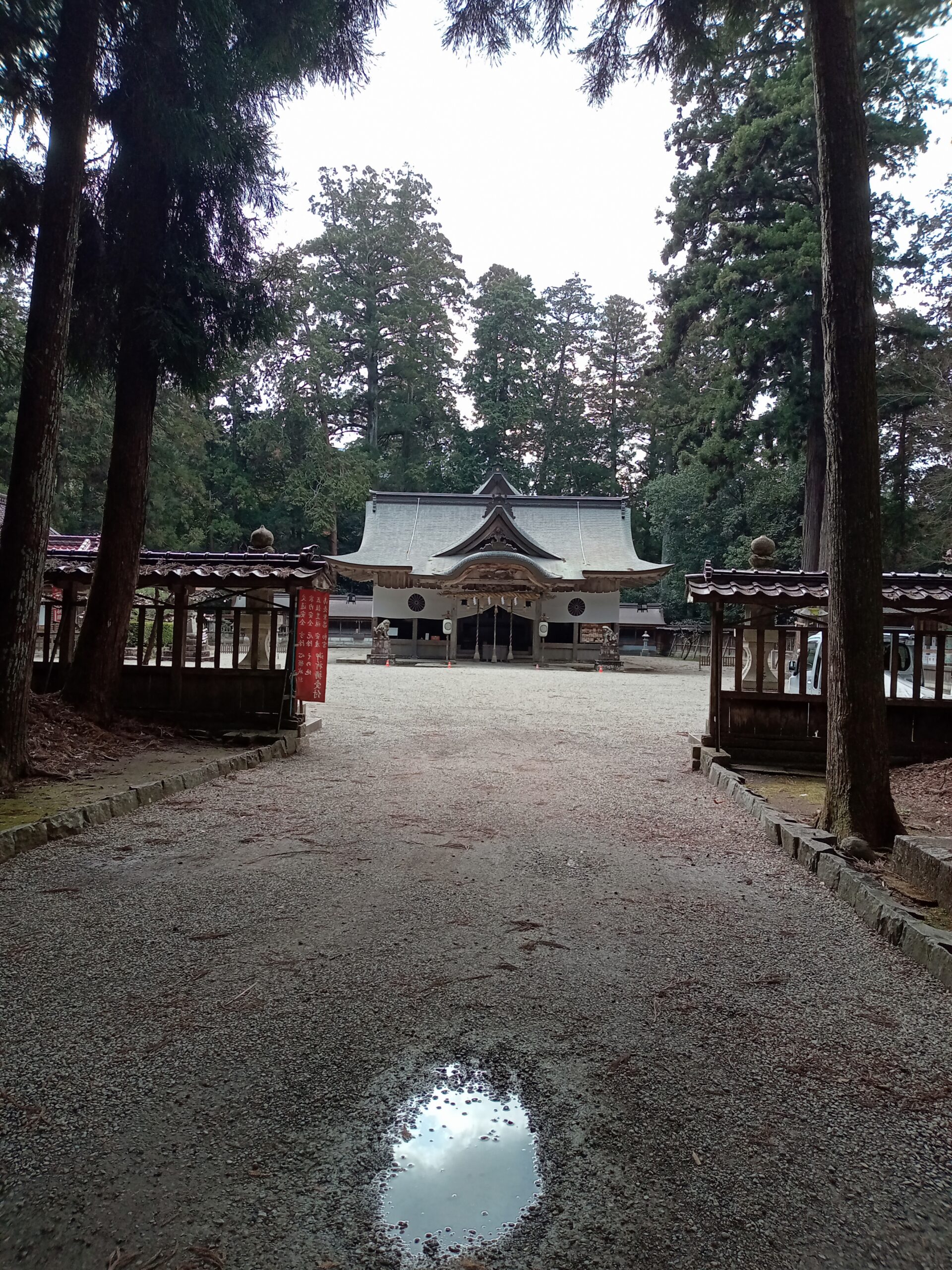 本殿に守り神の竜がいるそうです