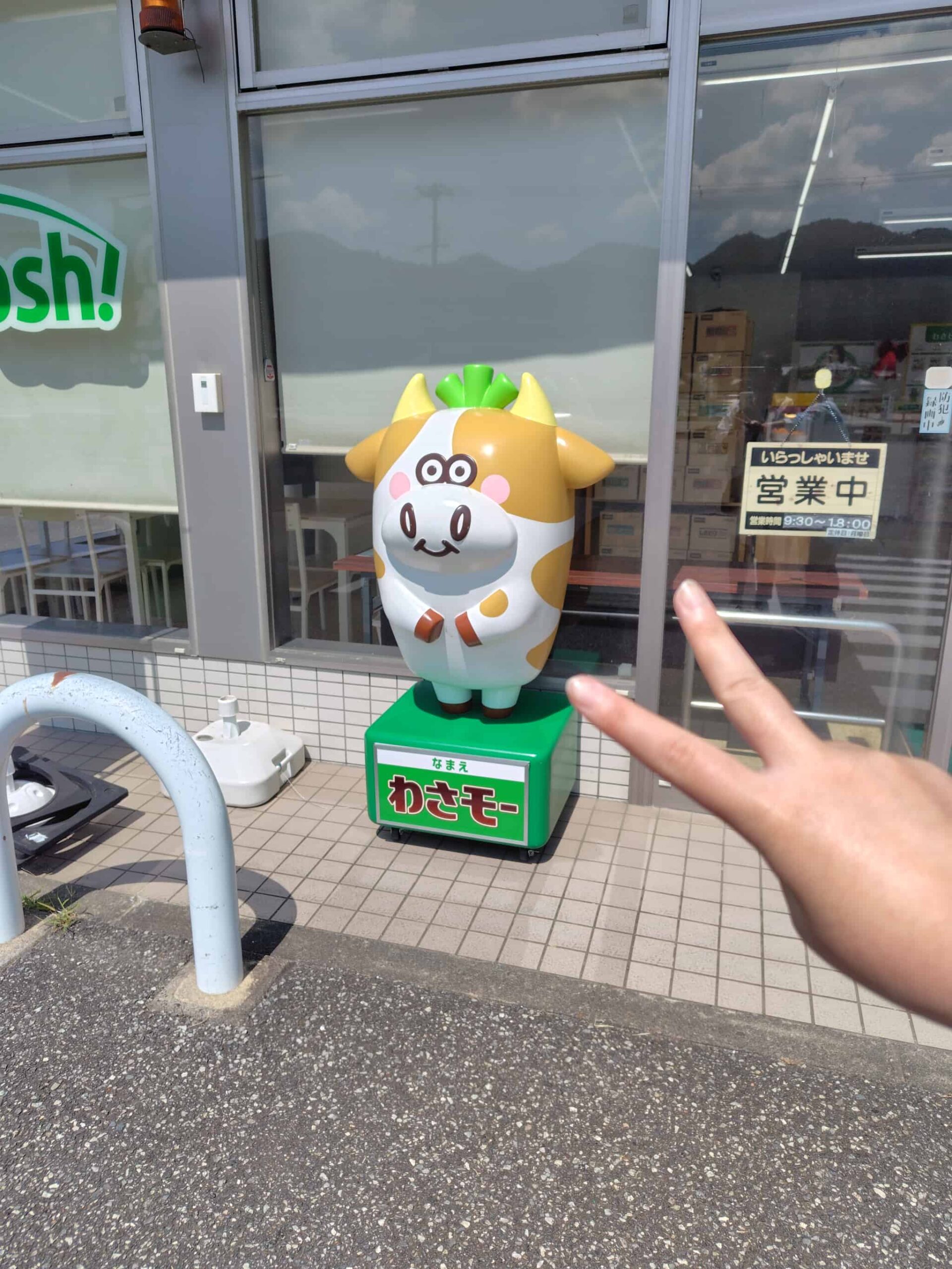 わさもーの写真